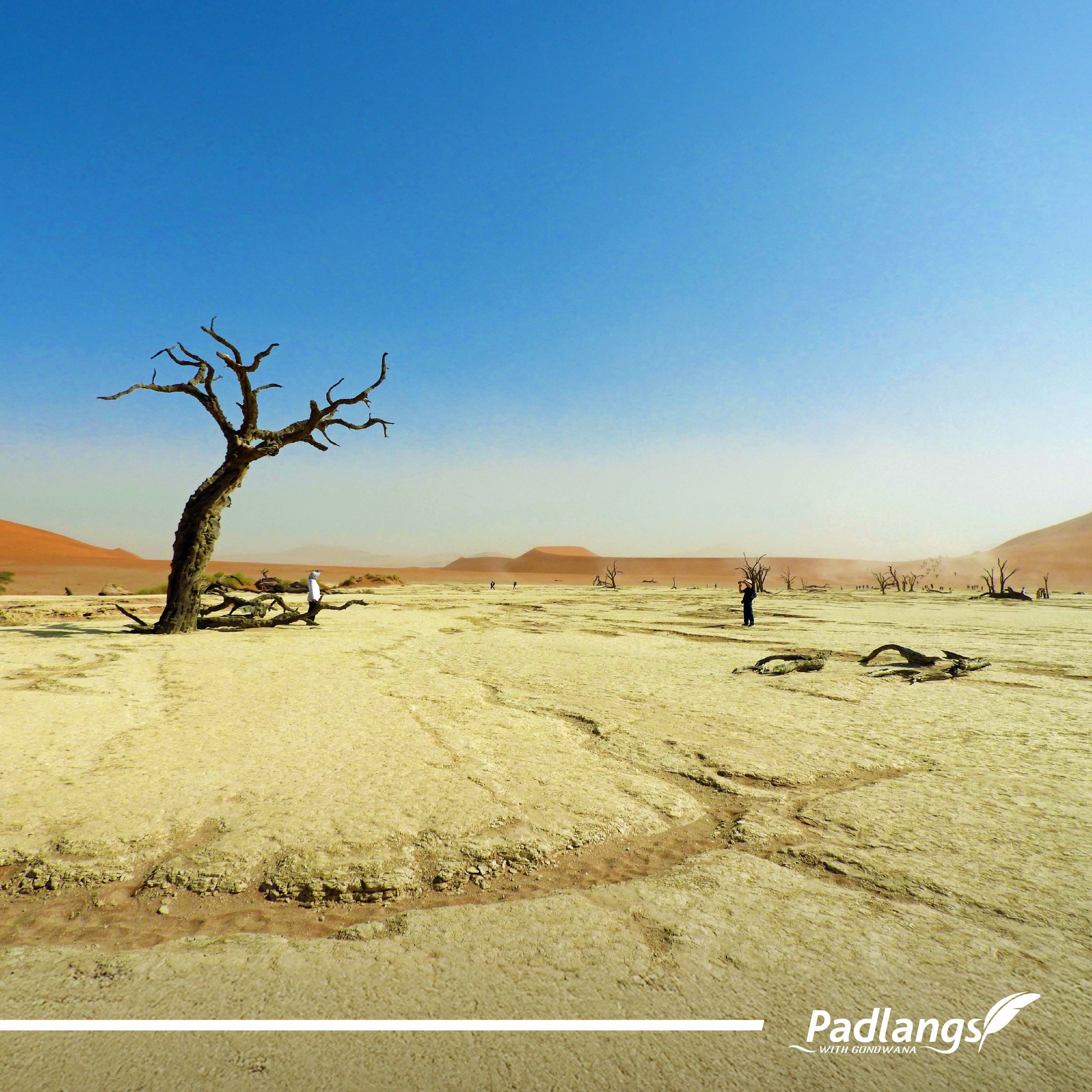 01_On the road again 4 - Into the arms of the Namib-03