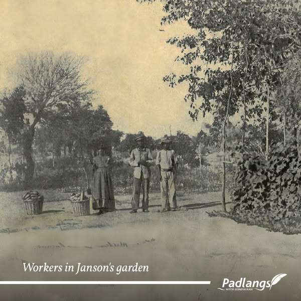 Workers in Jansons garden