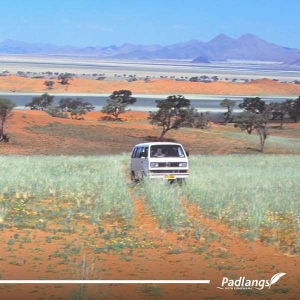 Kombi driving through veld