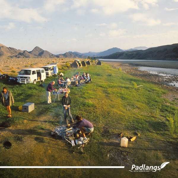 Camping with Kombis