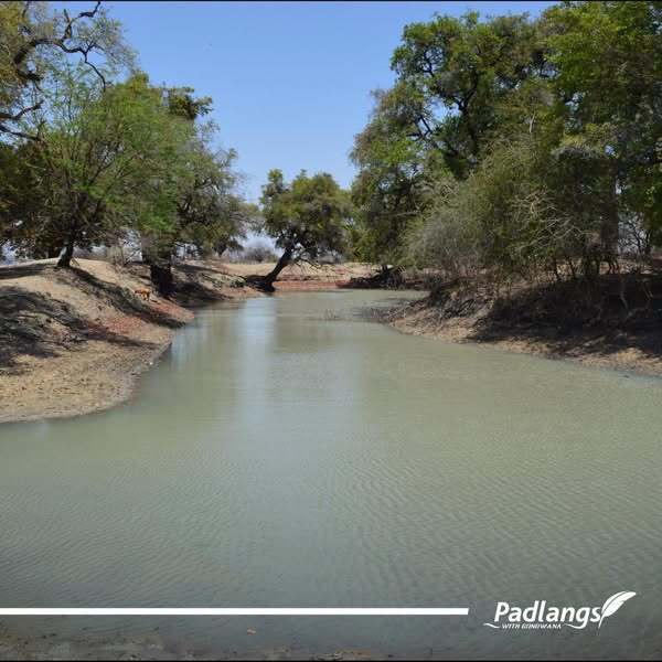 Onelungo Ponds, just outside the boundaries of Outapi