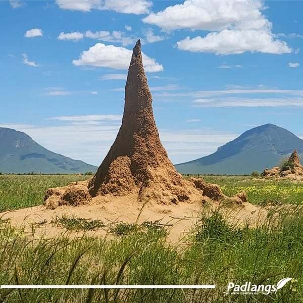 Omatako Mountains
