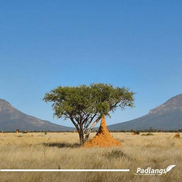 Omatako Mountains