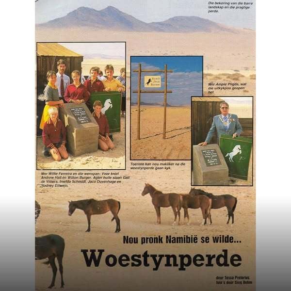 Wild horses