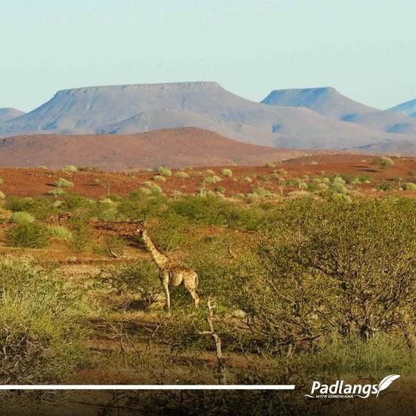 Palmwag Lodge in Namibia's Damaraland