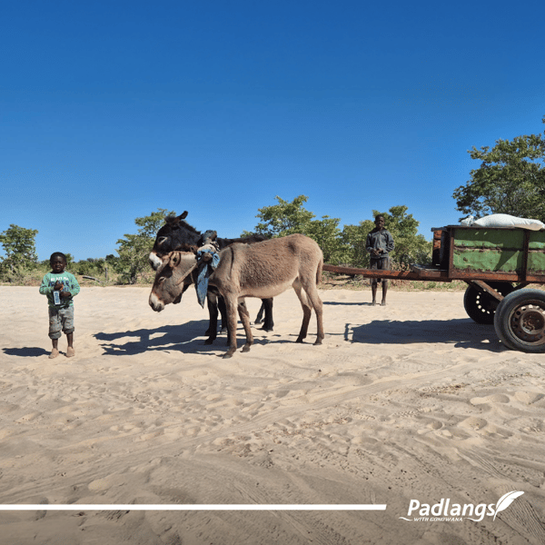 Namibia and Angola