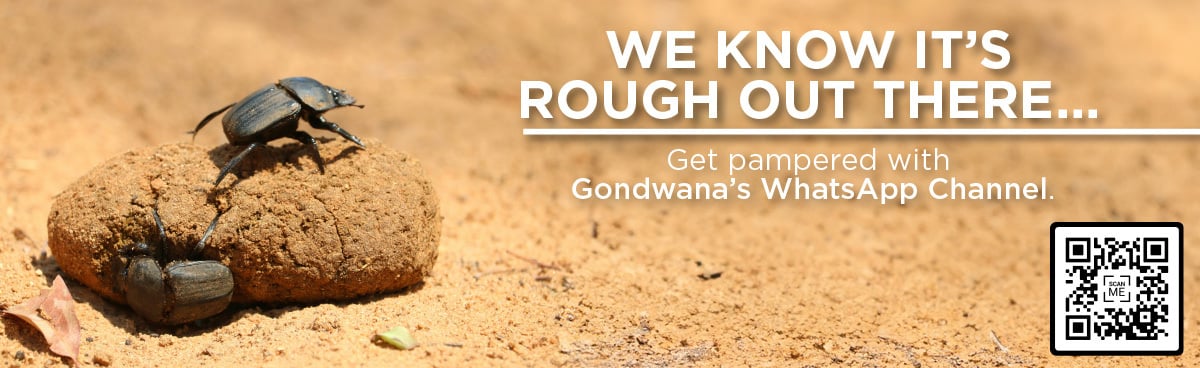 Gondwana Collection Namibia WhatsApp Deals Channel promotional banner