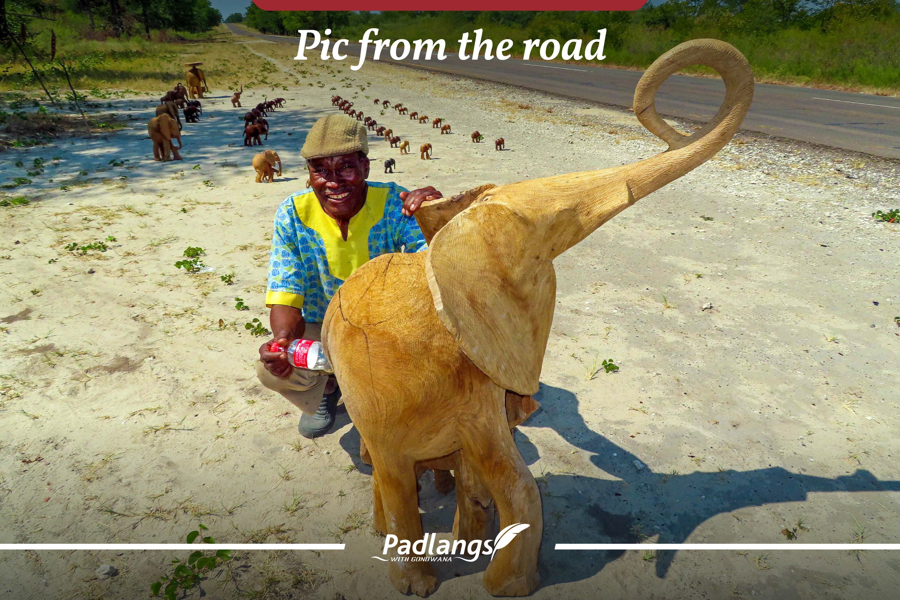 Elephant caring, smiling Namibian