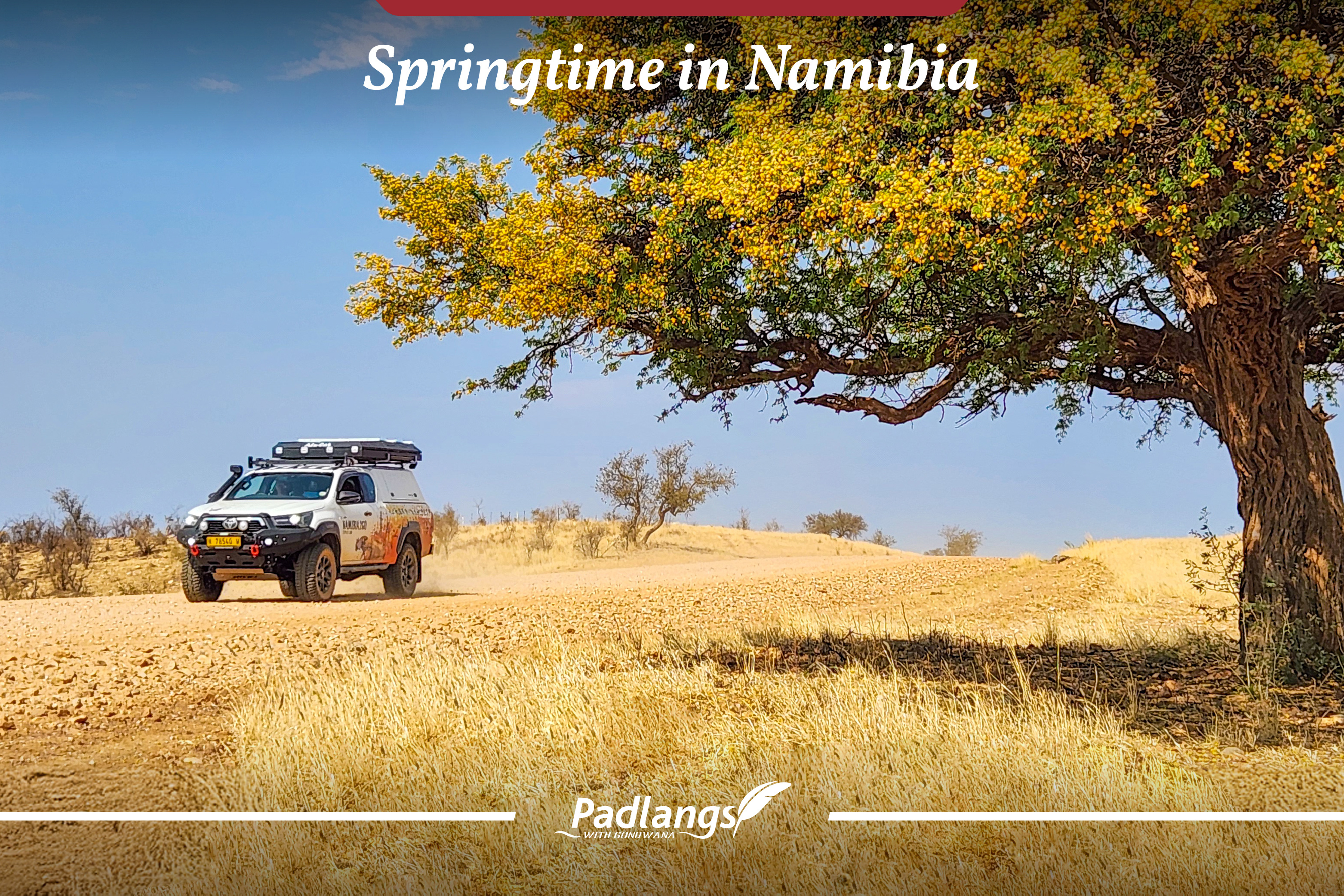 Springtime in Namibia