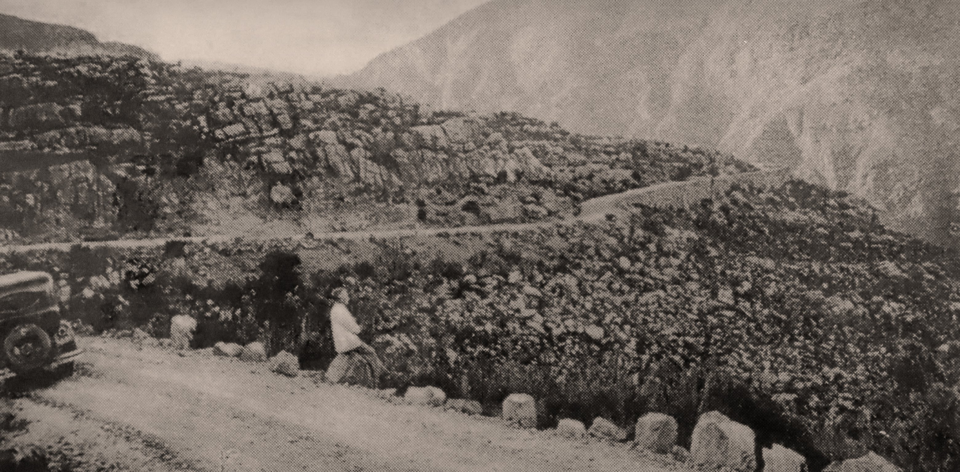 Prince Albert Stories: Local Stories from the book.
