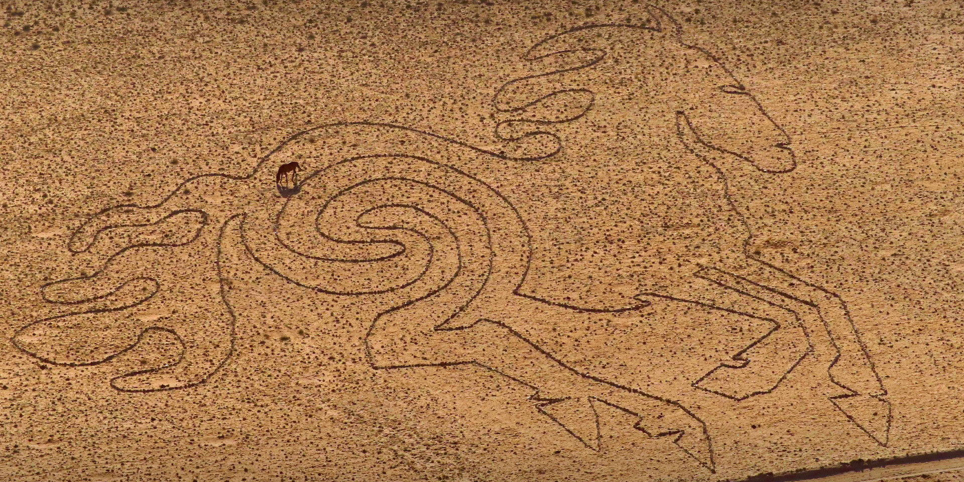 Earth drawings in Africa, Wild horse Klein Aus Vista Namibia