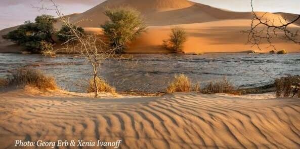 Namib desert