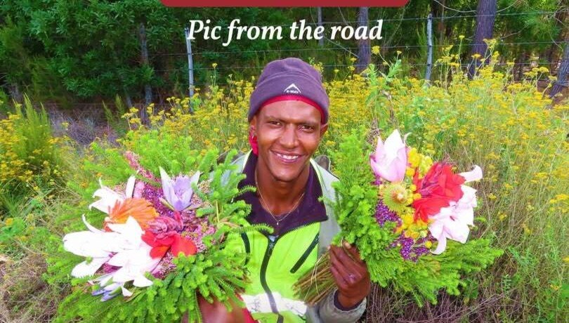 Flowers near Garden of Eden in South Africa
