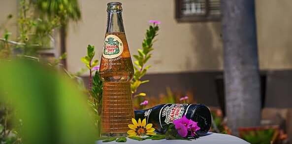 Canada Dry