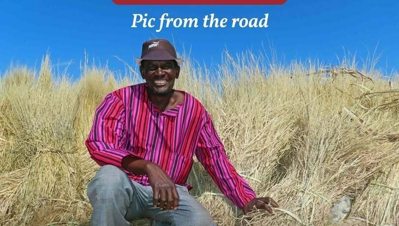 Man selling bundles of grass at Oshivelo, Namibia