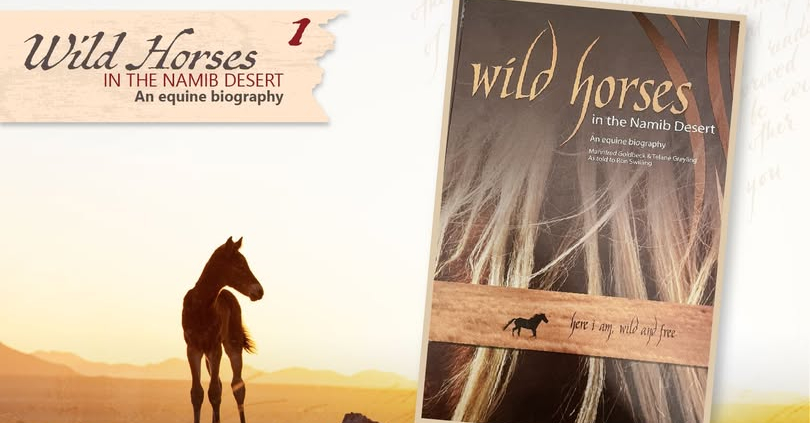 Wild horses in the Namib Desert