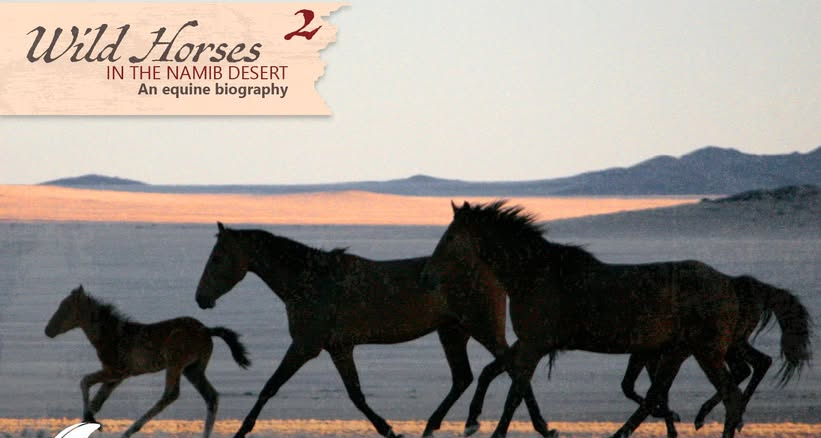 Wild horses of the Namib