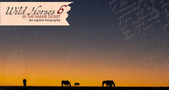 Wild horses in the Namib Desert