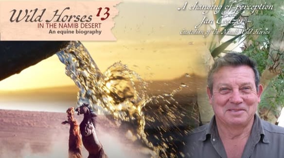 Wild Horses in Namibia